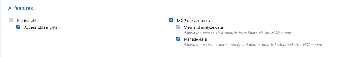 permission-sets-mcp-server-tools.png